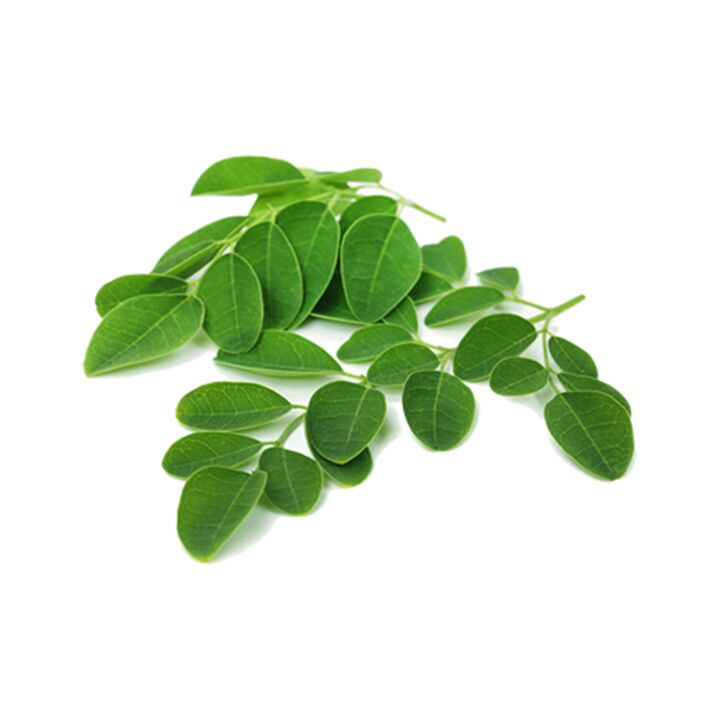 Normadex contient des feuilles de moringa - un remède naturel efficace contre les parasites