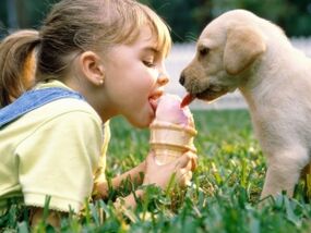 une fille mange de la glace avec un chien et devient infectée par des parasites