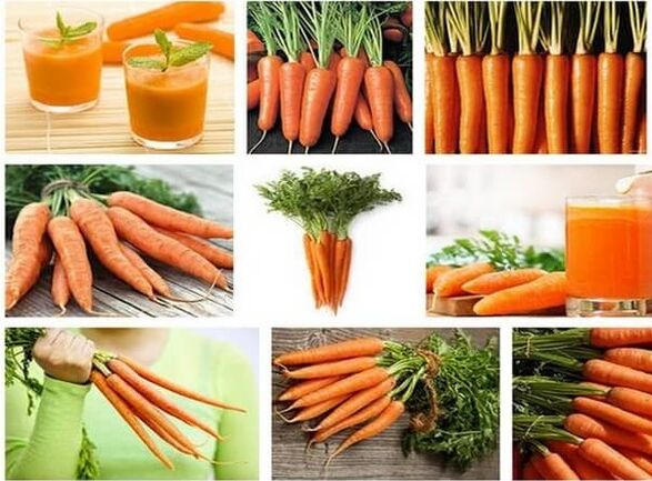 carottes pour les vers